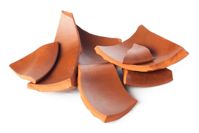 What every good gardener should have - a collection of crocks.