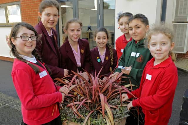 Festival of Languages at Portsmouth High School. Picture: Malcolm Wells