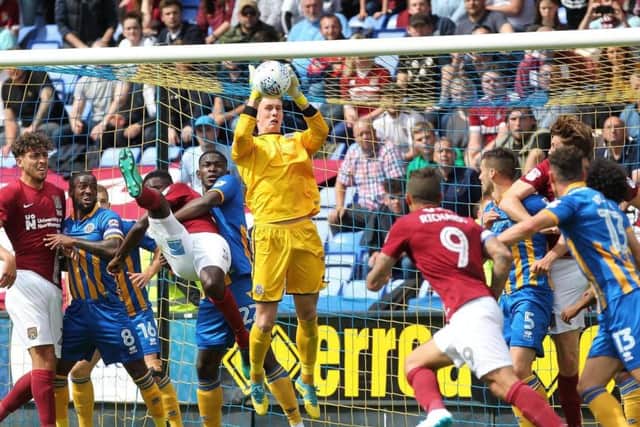 Shrewsbury goalkeeper Dean Henderson. Picture: Sharon Lucey