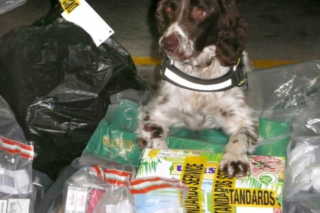 Sniffer dog Scamp with some of the haul