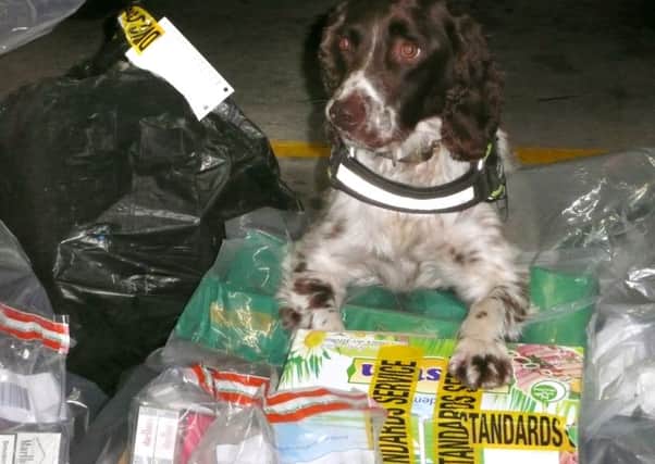 Sniffer dog Scamp with some of the haul
