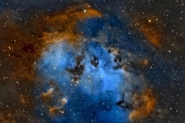 The Tadpoles of IC 410