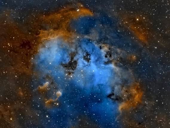 The Tadpoles of IC 410
