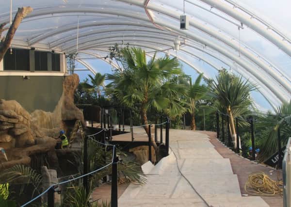 The Â£8m tropical house which is due to open in March