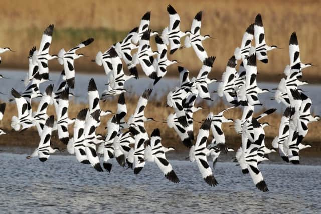 Cash from developers will be used to protect wildlife habitats