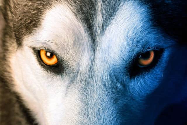 Picture: Shutterstock