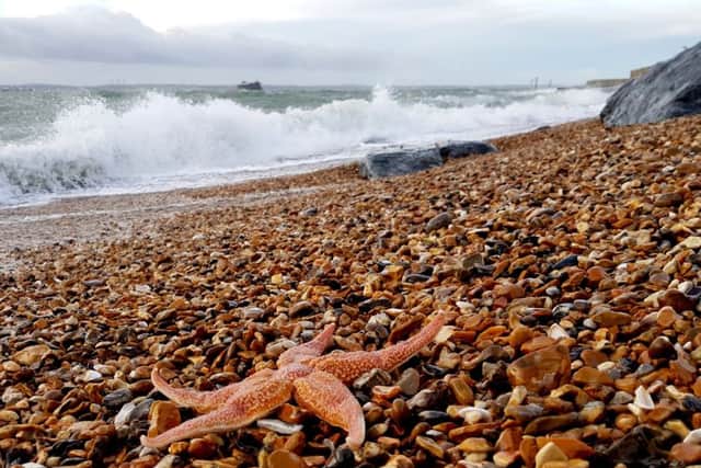 There's lot to do on the seafront - and at South Parade Pier. Picture: Habibur Rahman