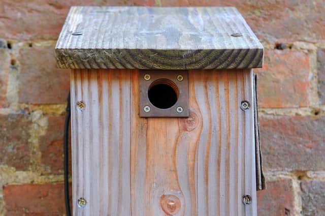 Make sure the entrance to nesting boxes faces north to ensure birds don't overheat when the sun's out.