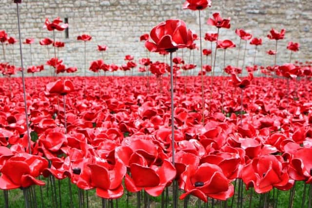 The iconic display of ceramic poppies at the Tower of London