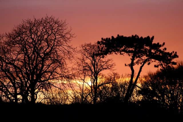 Graham May -Sunset on the Southwick side of Portsdown Hill
