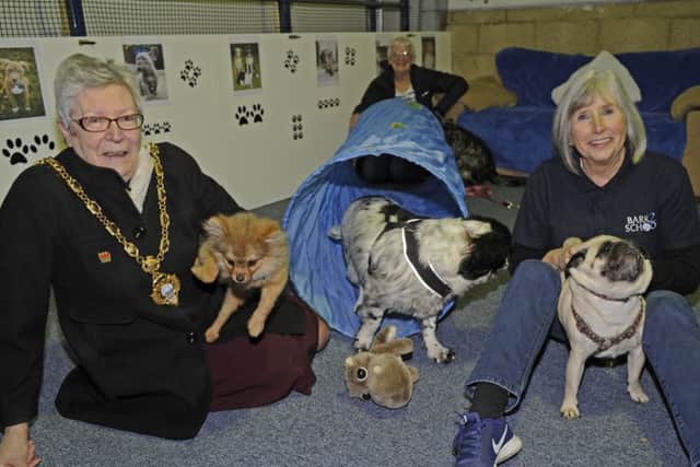 Mayor of Gosport Councillor Linda Batty with director Ros Freeman and four-legged friends  Picture: Ian Hargreaves  (180199-1)