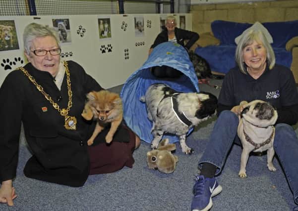 Mayor of Gosport Councillor Linda Batty with director Ros Freeman and four-legged friends  Picture: Ian Hargreaves  (180199-1)