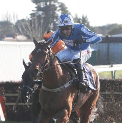 Night Of Glory won the Goodwin Racing Telephone Betting Juvenile Hurdle. Picture: Fontwell Park