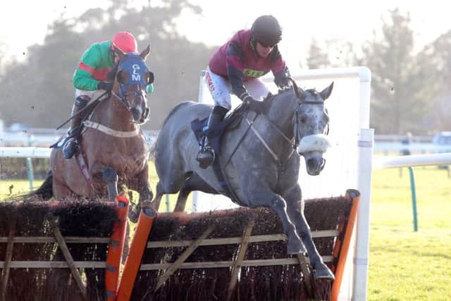 Minellatillmorning won the Happy Birthday Sarah Cotty Handicap Hurdle. Picture: Fontwell Park