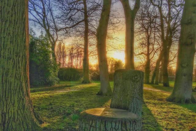 Simon Higgins - Stubbington Park Sunset