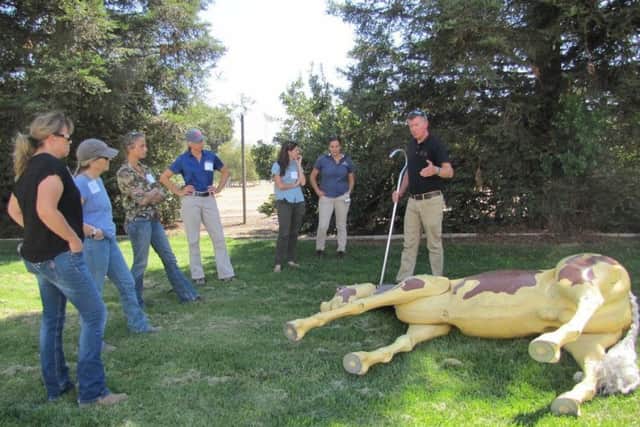 Animal expert Jim Green training veterinarians in the US