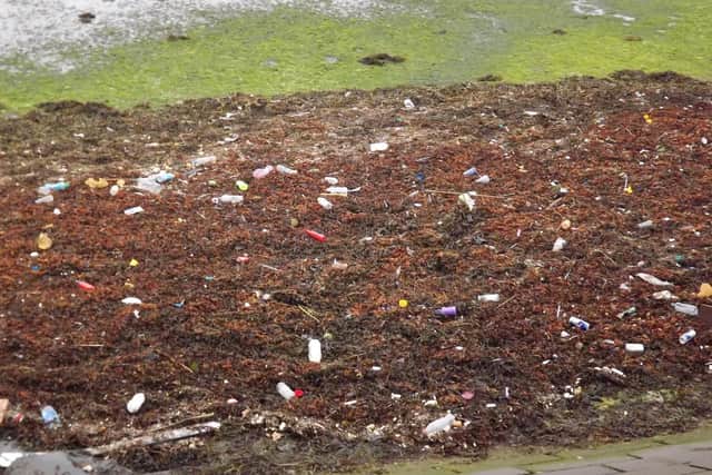 Not some far flung island but Port Creek alongside Eastern Road, Portsmouth, earlier this week. I counted more than 50 plastic bottles along with other man-made filth.
