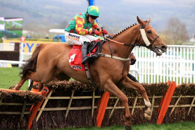 Lil Rockerfeller during the Sun Bets Stayers' Hurdle at the Cheltenham Festival last season. Picture: PA Images