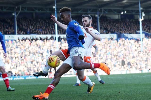 Jamal Lowe. Picture: Joe Pepler