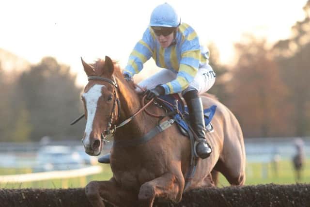 Spiritofchartwell. Picture: Fontwell Park