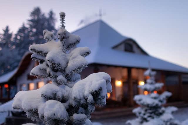 Cheryl enjoyed the snow storm while cozy in her little bungalow Picture: Shutterstock