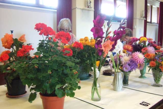 The show is taking place this weekend