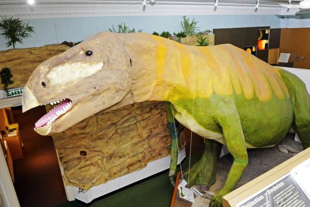 NATURAL HISTORY MUSEUM                                    MRW                                                  16/1/2018Cumberland House Natural History Museum on Eastern Parade, Portsmouth, Hampshire - 'Emily The Dinosaur' - an Iguanodon -Picture by:  Malcolm Wells (180116-3772)Professional Photographer Mobile: 07802 217 569E: malcolmrichardwells@gmail.com PPP-180116-233341006