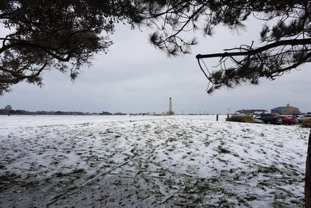 Snow in Southsea Common. Picture: Lynne Collinson