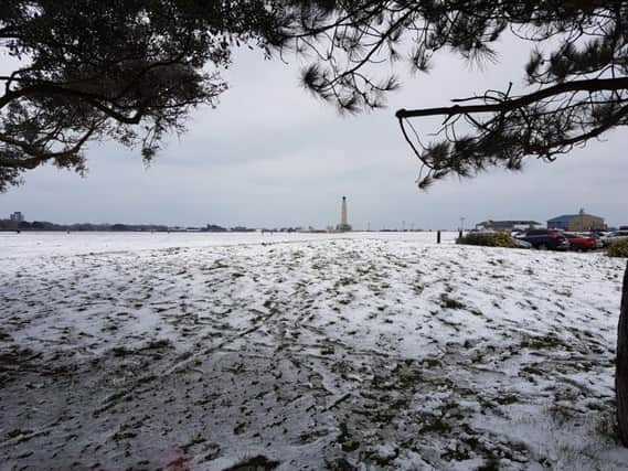 Snow in Southsea Common. Picture: Lynne Collinson