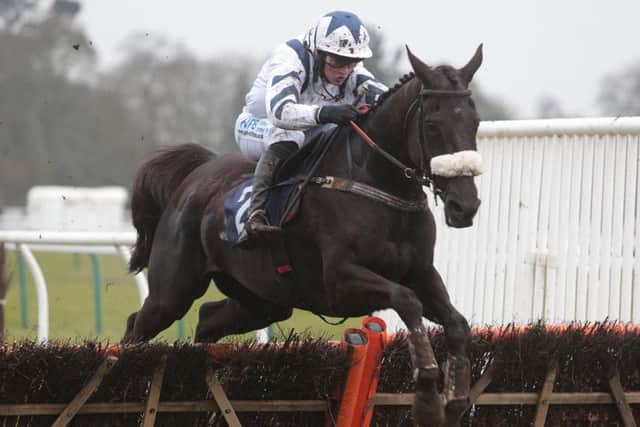 Kris Spin won the Primo Bar & Bistro Barbados Handicap Hurdle / Picture: Nigel Bowles - Fontwell Park
