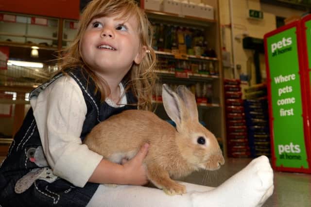 Pets at Home will stop rabbit sales over Easter
