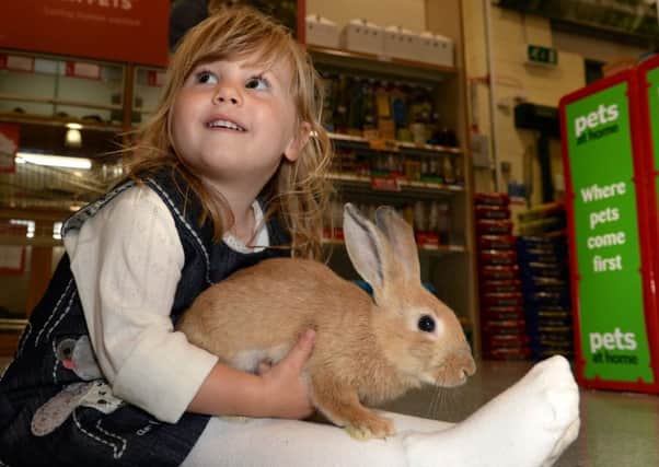Pets at Home will stop rabbit sales over Easter