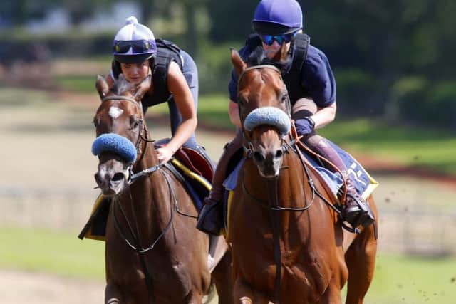 Megan Nicholls (left of picture) was the Silk Series trophy winner last year / Picture by Dan Abraham-racingfotos.com