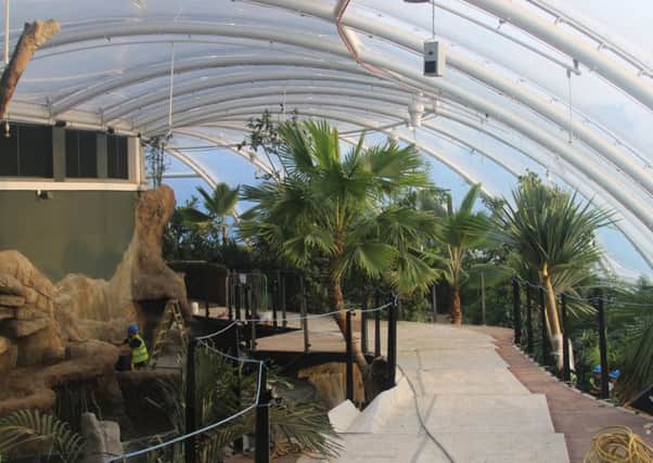 Â£8m Tropical House at Marwell Zoo.