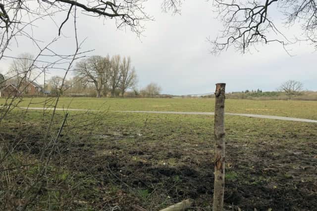 The field opposite Long Copse Lane, Emsworth where developers want to build 260 homes