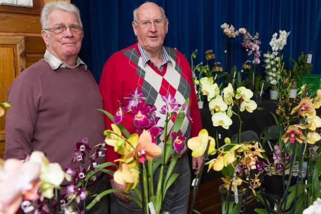 Wessex Orchid Society members Derek Ridley., left, and David Gourley with an impressive array of plants     Picture: Duncan Shepherd