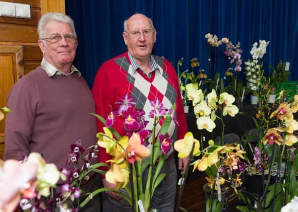 Wessex Orchid Society members Derek Ridley., left, and David Gourley with an impressive array of plants     Picture: Duncan Shepherd