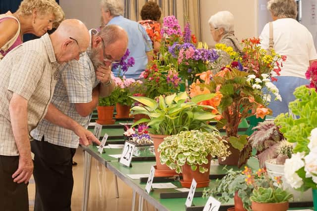 The Hayling Island Horticultural Society Main Summer Show