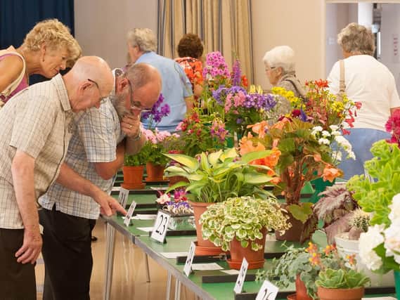 The Hayling Island Horticultural Society Main Summer Show