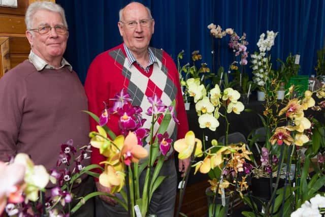 CATCH LINE: Orchid Show
DATE: 24-3-2018
LOCATION: Portchester Community School, White Hart Lane, Portchester
STORY: The Wessex Orchid Society is holding their event on March 24 at Portchester Community School, in Portchester - Wessex Orchid Society members (L-R) Derek Ridley and David Gourley
PICTURE: Duncan Shepherd PPP-180324-193215006