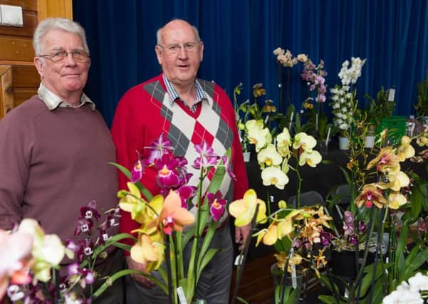 CATCH LINE: Orchid Show
DATE: 24-3-2018
LOCATION: Portchester Community School, White Hart Lane, Portchester
STORY: The Wessex Orchid Society is holding their event on March 24 at Portchester Community School, in Portchester - Wessex Orchid Society members (L-R) Derek Ridley and David Gourley
PICTURE: Duncan Shepherd PPP-180324-193215006