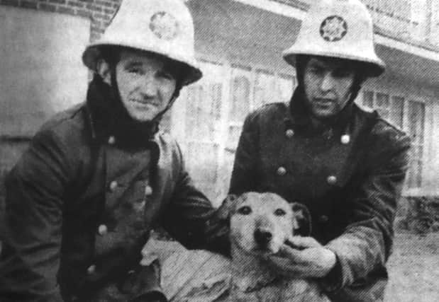 Southsea firemen John Balderstone, left, and Chris Palmer with Bengy, the dog they rescued from a blaze