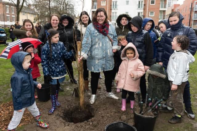 A tree is planted with a time capsule stored underneath to preserve the memories and stories of residents in Portsea Picture: Duncan Shepherd