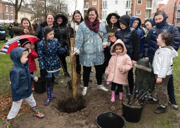 A tree is planted with a time capsule stored underneath to preserve the memories and stories of residents in Portsea Picture: Duncan Shepherd