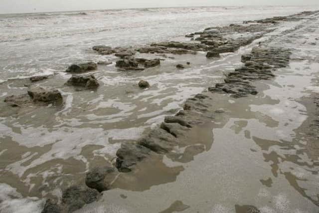 He became stuck in waist-deep mud 30ft off the coast of Hayling Island. Credit: Pixio (labelled for reuse)