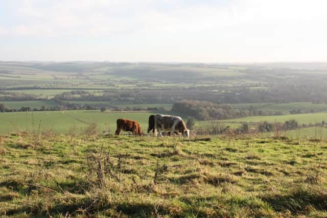The Meon Valley - which comes under Winchester City Council - from Beacon Hill National Nature Reserve Picture: Ray Smith