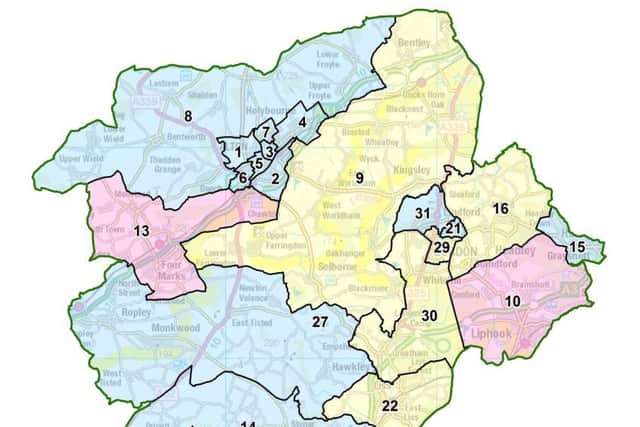 A map of proposed boundary changes in East Hampshire Council