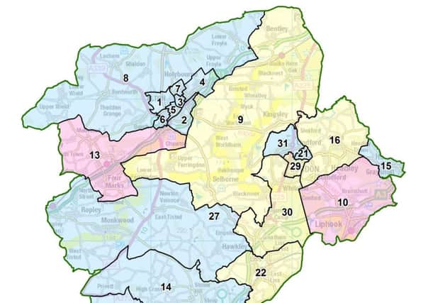 A map of proposed boundary changes in East Hampshire Council
