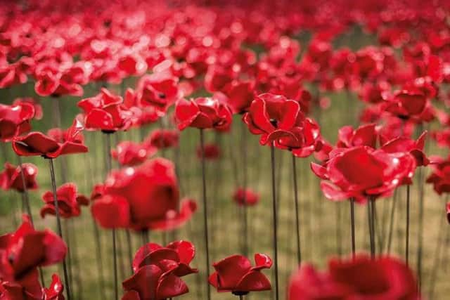 Volunteers are wanted to look after poppy sculptures