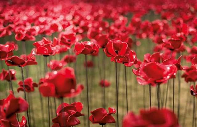 Volunteers are wanted to look after poppy sculptures